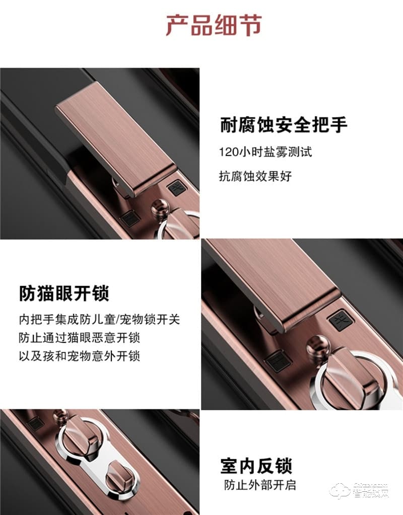佰德龙智能锁 Q9人脸识别锁智能门锁掌纹锁