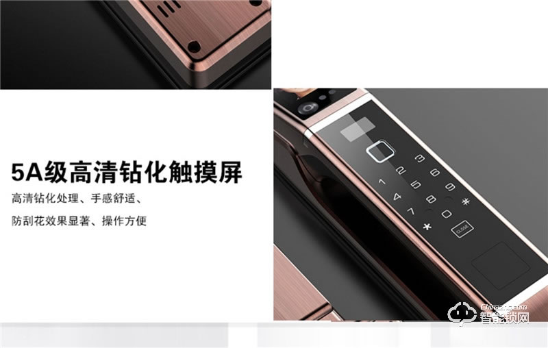 佰德龙智能锁 Q9人脸识别锁智能门锁掌纹锁