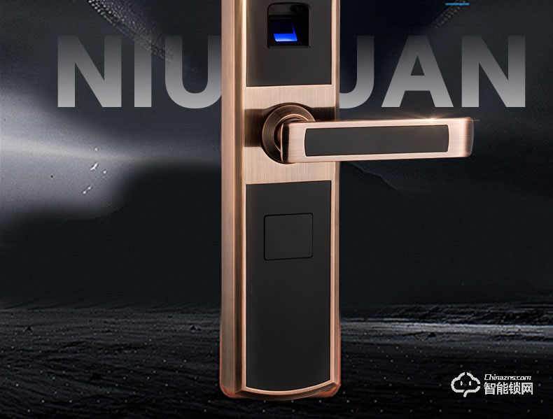纽冠智能锁 N816家用电子锁智能门锁