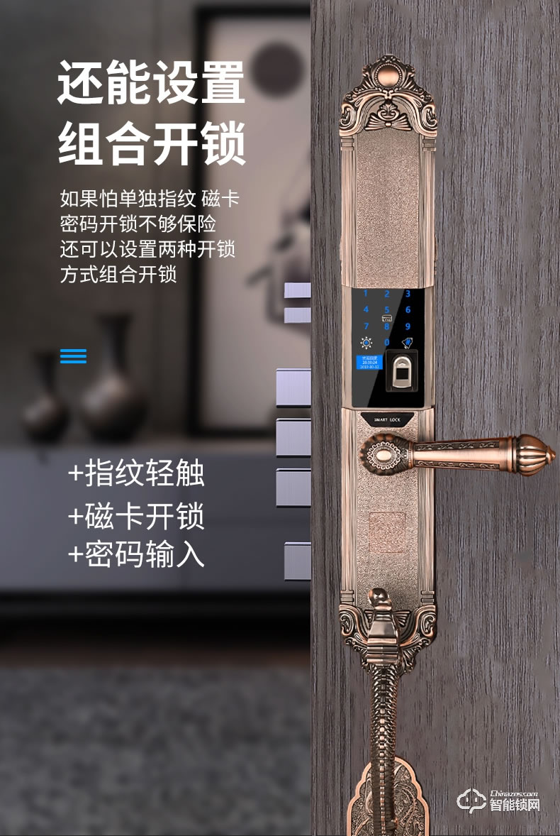 幻侣智能锁 龙头别墅门全自动双开门智能密码锁