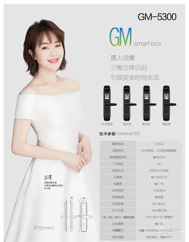 亚蒂仕智能锁 GM5300全自动人脸智能锁