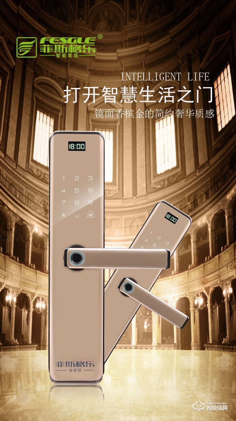 菲斯格乐智能锁 6853家用防盗门智能门锁密码锁