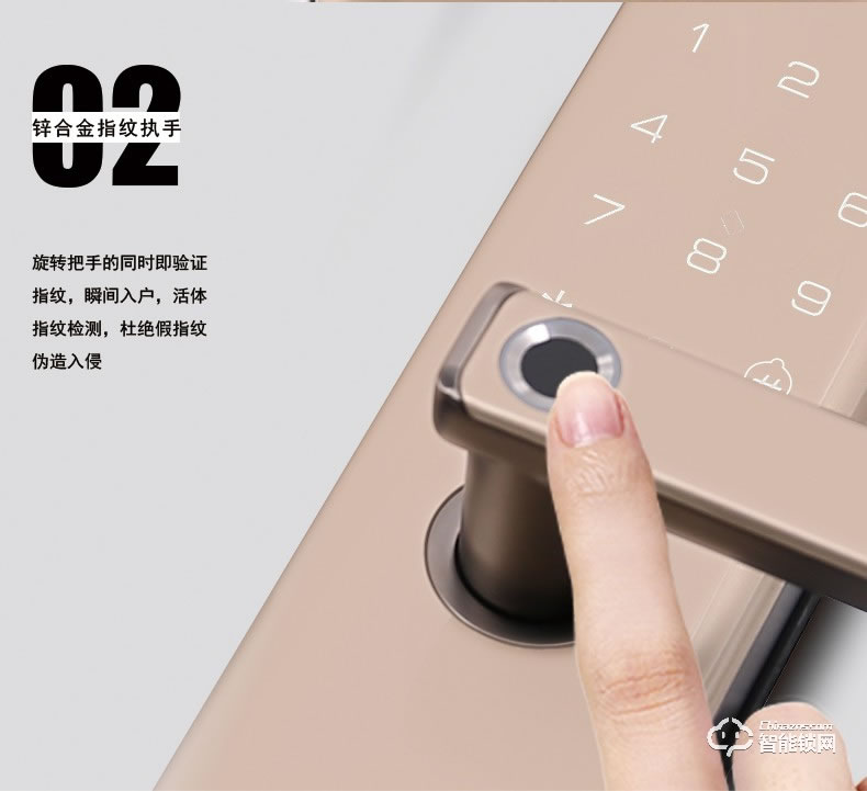 菲斯格乐智能锁 6853家用防盗门智能门锁密码锁