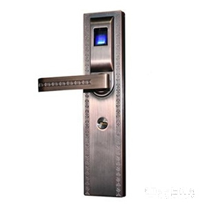 日日红锌合金智能指纹锁 家用大门防盗锁