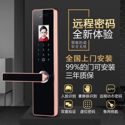 伊派尔人脸识别锁 掌静脉识别锁 指纹锁密码锁