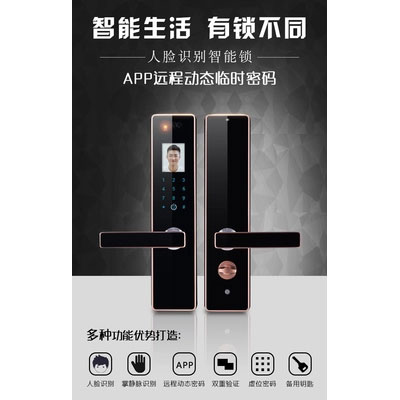伊派尔指纹锁 人脸识别掌静脉指纹锁家用防盗门锁密码锁智能锁