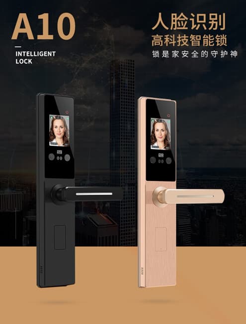 浩宇兴智能锁 人脸识别锁防盗门锁密码锁