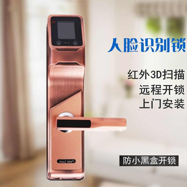 浩宇兴智能锁 人脸锁掌静脉密码锁手机远程开锁