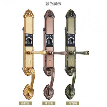 中霸智能锁 B57指纹密码锁 别墅门防盗智能锁