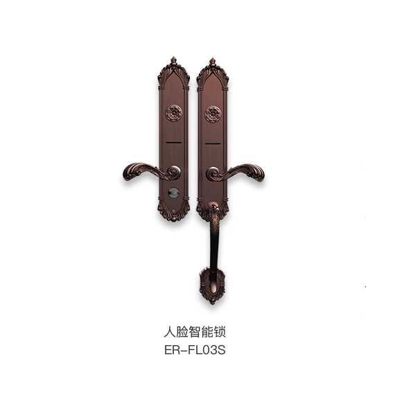 准德智能锁 ER-FL03S人脸智能锁