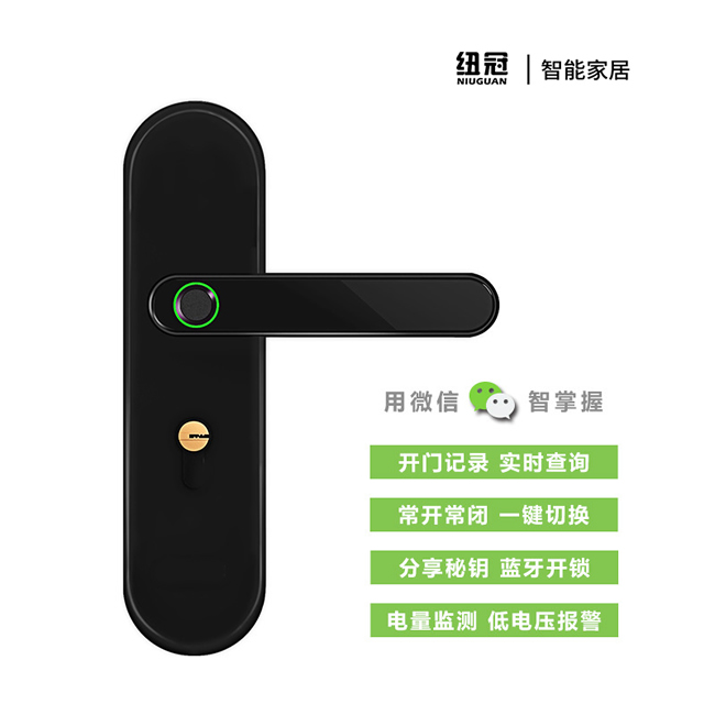 纽冠智能锁 K2家用电子蓝牙指纹房门锁