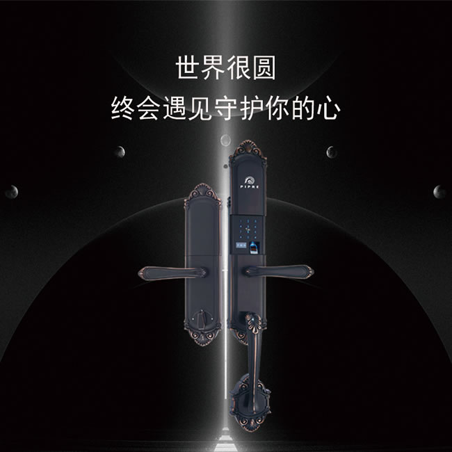 派普瑞智能锁 R9智能锁防盗门密码锁