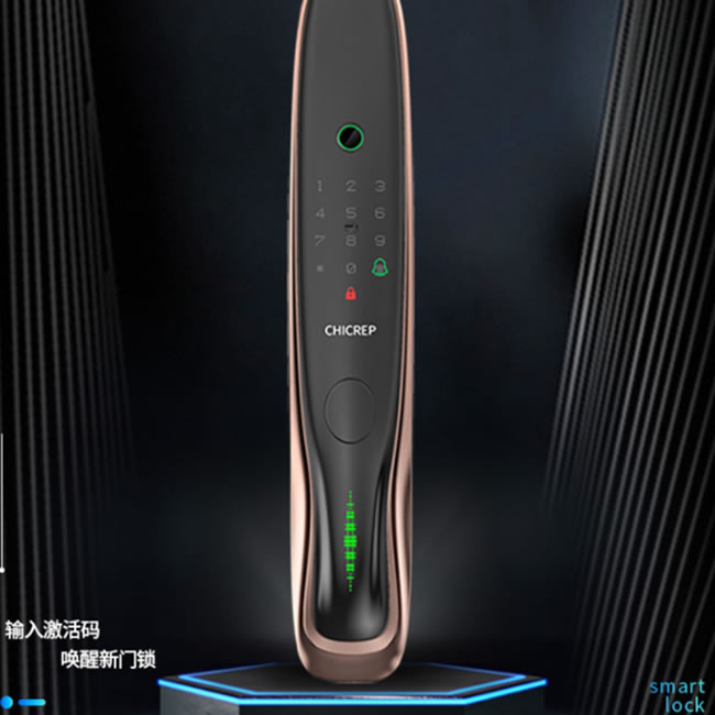 西红仕V9全自动智能锁 家用智能门锁防盗电子锁
